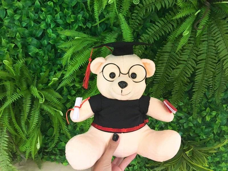 Gấu tốt nghiệp - quà tặng đáng yêu cho mọi cử nhân