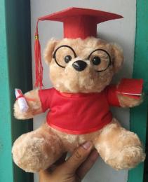 Gấu quà tặng - Lựa chọn hoàn hảo cho mọi dịp